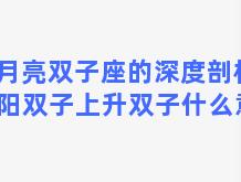 月亮双子座的深度剖析 太阳双子上升双子什么意思